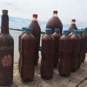Ayahuasca Tea For Sale